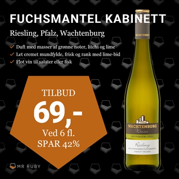 2023 Riesling Fuchsmantel Kabinett Trocken, Weinland Wachtenburg, Pfalz, Tyskland
